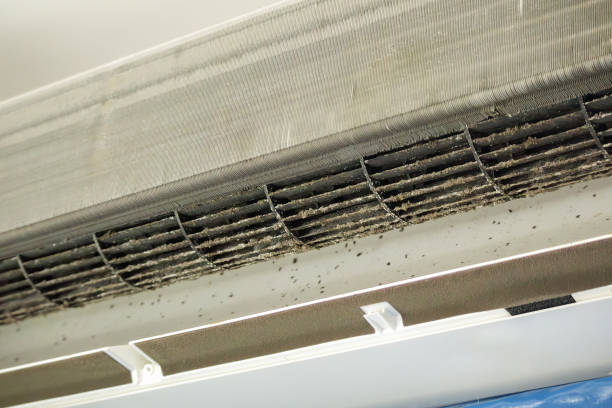 Best Commercial Air Duct Cleaning  in Glasgow, MT